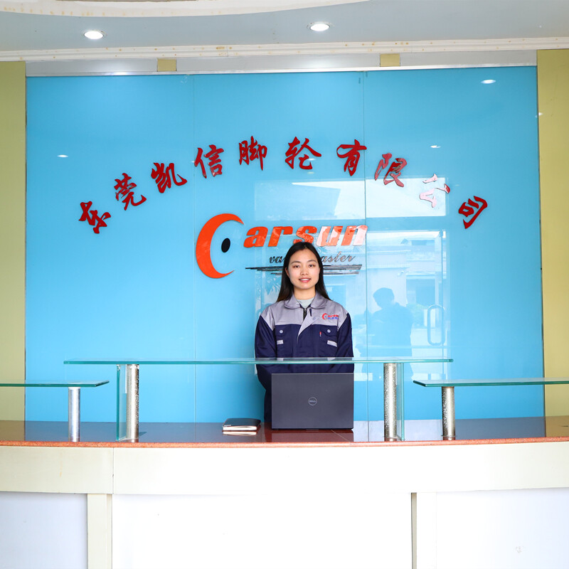 Dongguan Carsun Caster Co., Ltd company overview - view 2