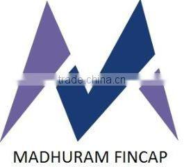 Madhuram Fincap Private Limited company overview - view 1