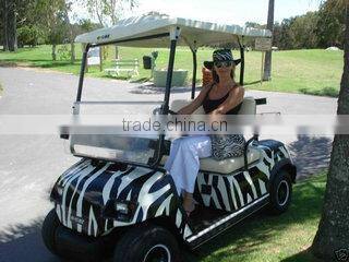 E-car Australasia Pty Ltd company overview - view 1