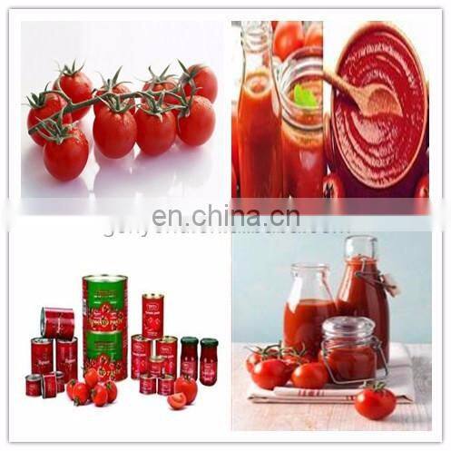 Canned tomato paste making machine production line