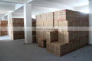 Wenling Blue Sky Plastic Shoes Co., Ltd. company overview - view 4