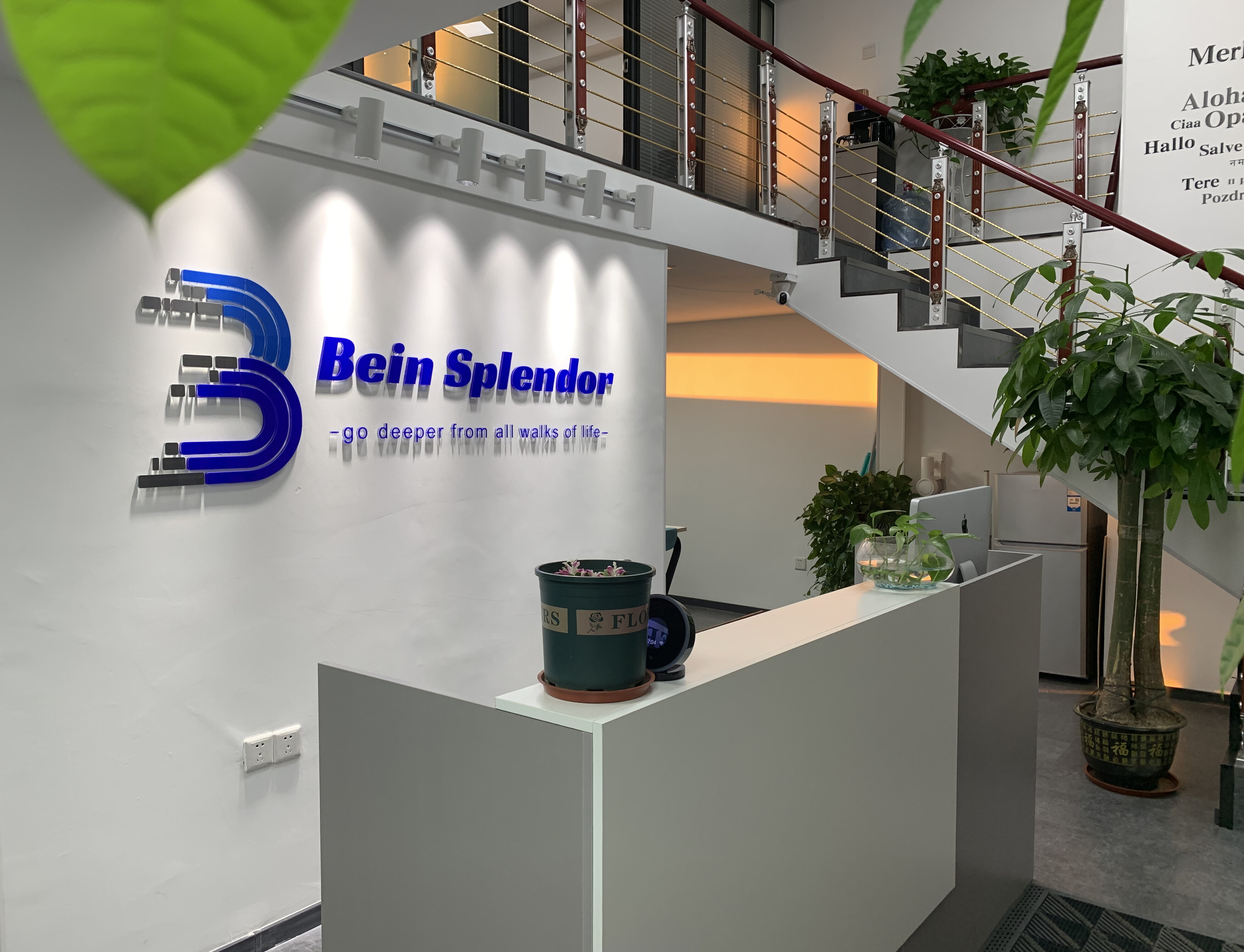 Bein Splendor Supplying Co,. Ltd company overview - view 1