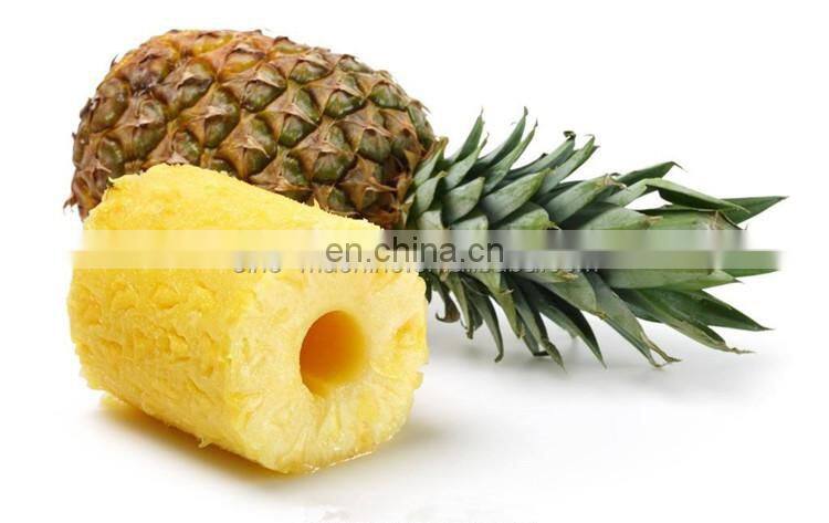 Shanghai Genyond pineapple processing peeling machine