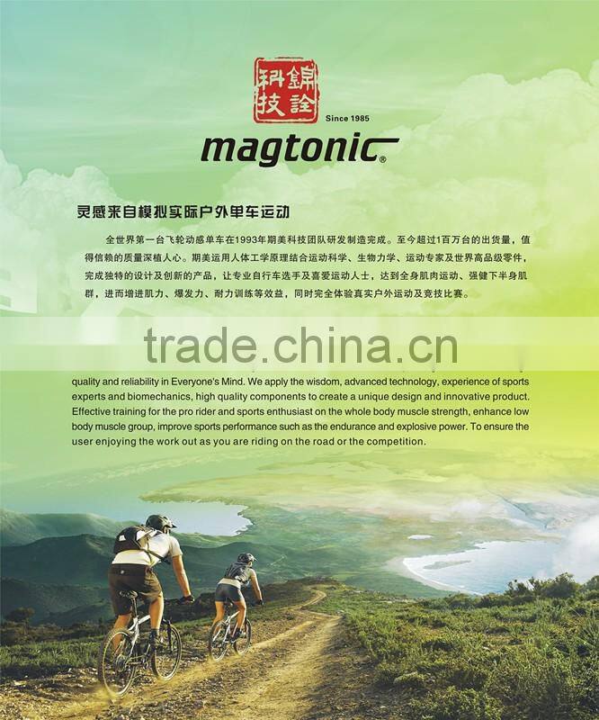 Magtonic spin online bike