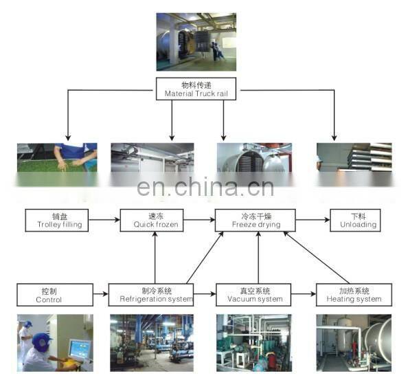 Commercial fruit dehydrator/food vacuum dehydrator/food freeze dryer