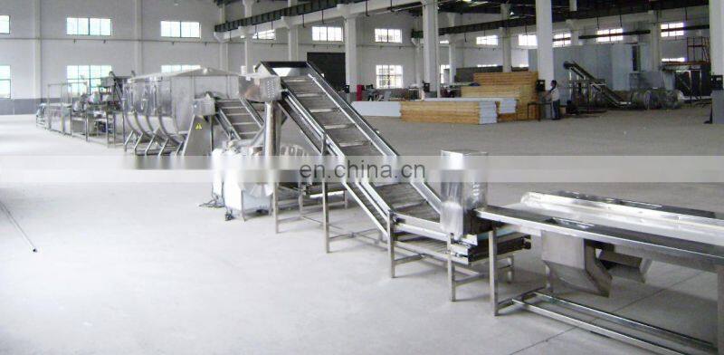 automatic frozen fruit & vegetable processing line