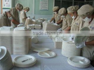 Wenzhou Keyi Environmental Protection Tableware Co., Ltd. company overview - view 2