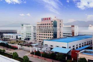 Zhejiang Cangnan Instrument Group Co., Ltd. company overview - view 3