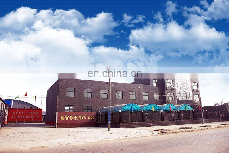 Shijiazhuang Longgong Plastic Products Co., Ltd. company overview - view 3