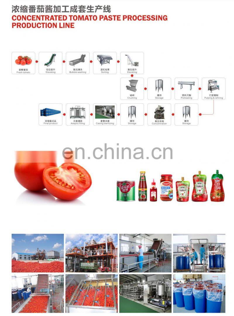 industrial concentrate tomato paste sauce processing production line