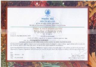 Evergreen Exports company overview - view 1