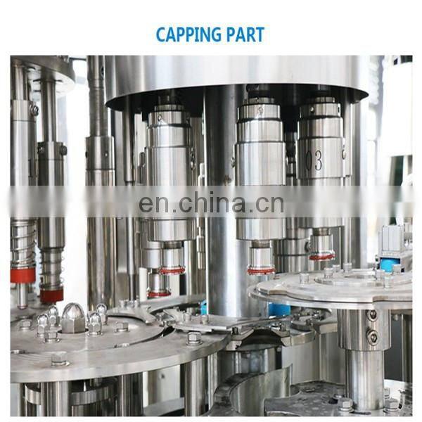 Fruit sugarcane juice packaging machine