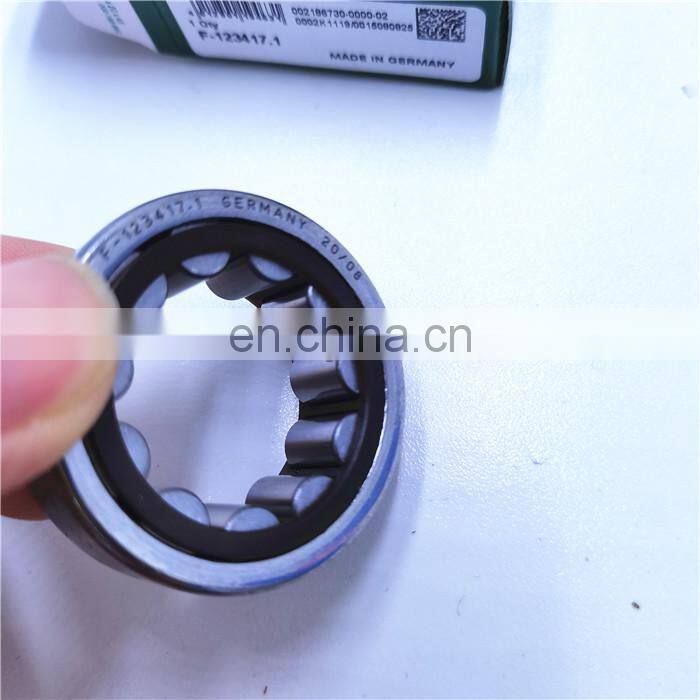 17.5*40*22.2mm F-123417.1 cylindrical roller bearing F-123417.1