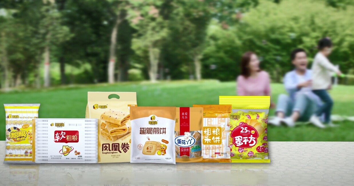 Henan Huazhong Food Co., Ltd. company overview - view 3