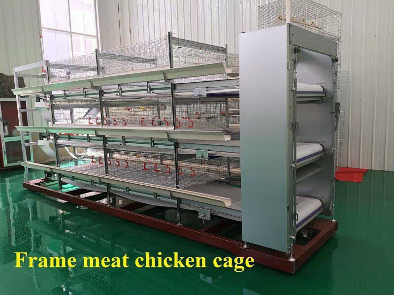 框架肉鸡笼4.jpg