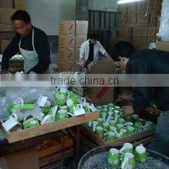 Fujian Dehua E.V.T. Gift Co., Ltd. company overview - view 3