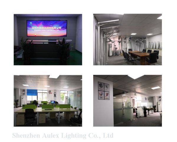 Shenzhen Aulex Lighting Co., Ltd company overview - view 1