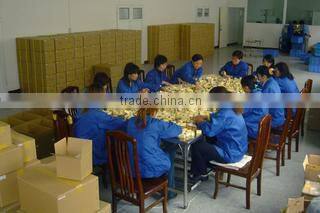 Tianjin Kejia Printer Parts Corp. company overview - view 2