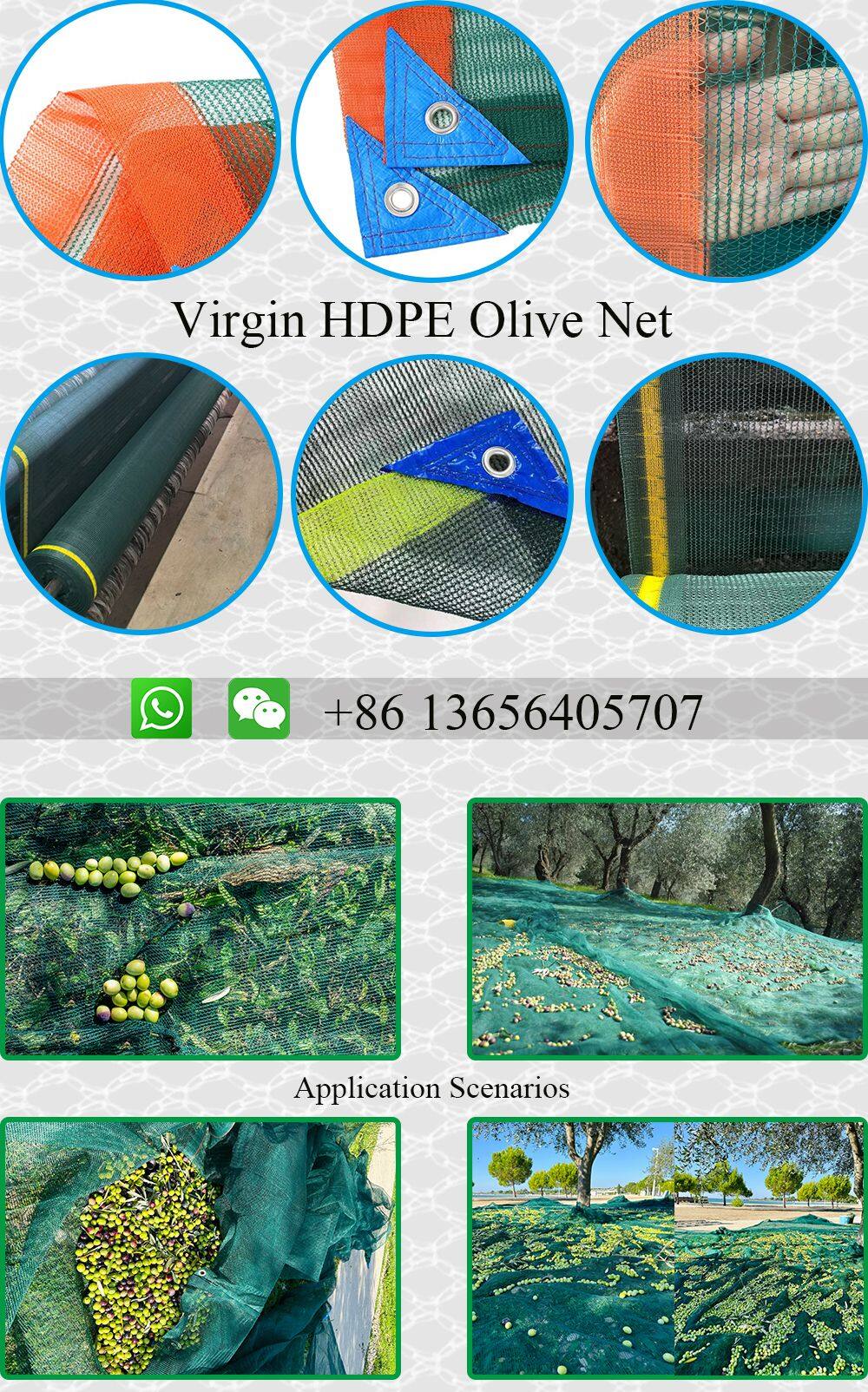 Olive collecting net