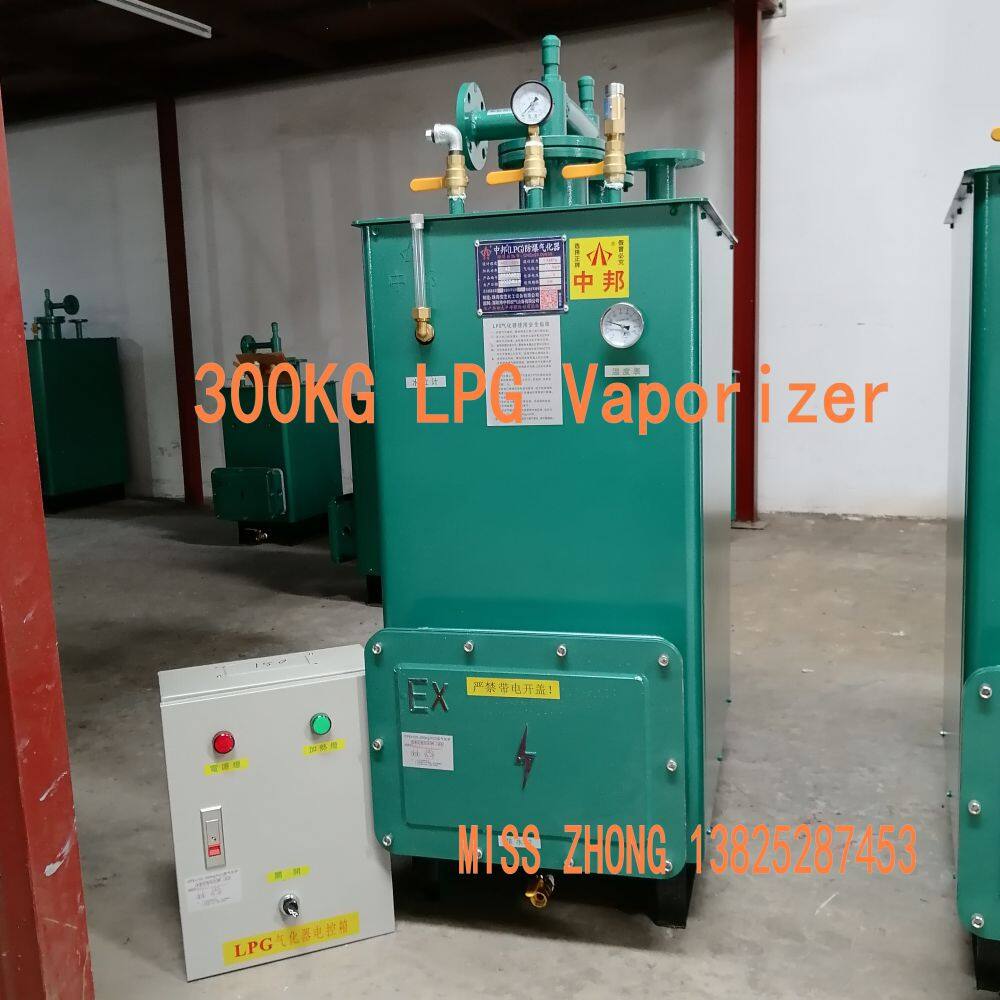 300公斤气化炉
