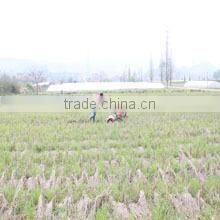 Zhejiang E-Shine Machinery Manufacturing Co., Ltd. company overview - view 4