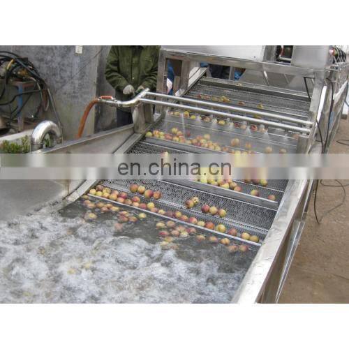 full Industrial orange washing and sorting machines