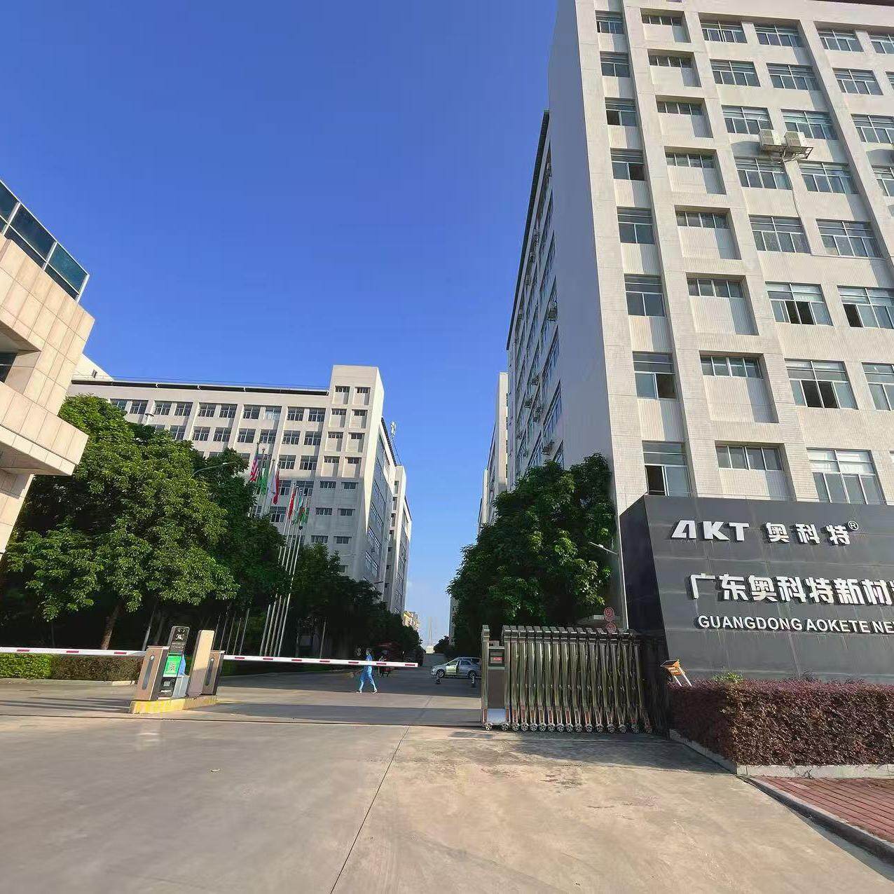 Guangdong AOKETE New Material Technology Share Holding CO.,LTD company overview - view 1