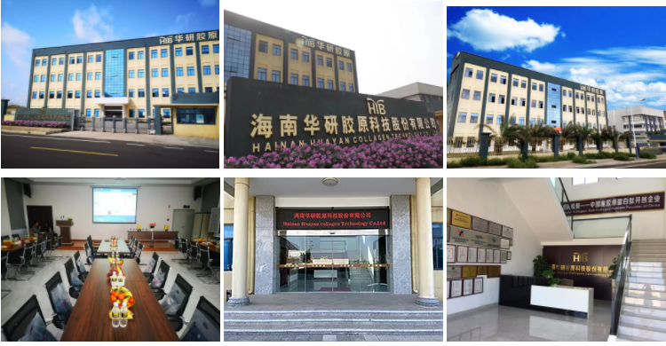 Hainan Huayan Collagen Technology Co., Ltd company overview - view 1