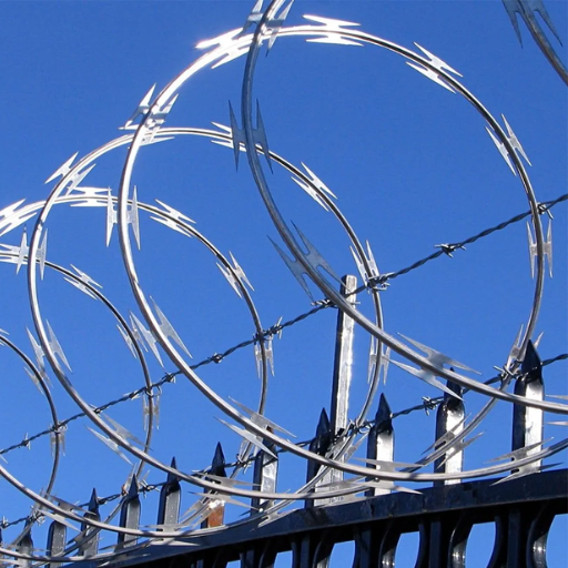 Razor wire.png