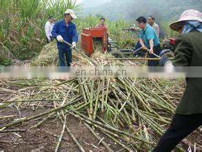sugarcane peeler for sugarcane processing