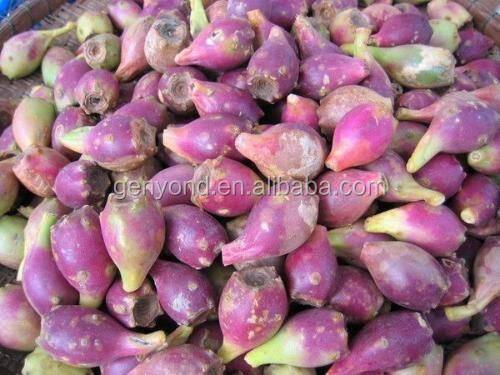 Factory Genyond Complete Prickly Pear Fruit Juice Paste Production Line / Prickly Pear Jam Processing Plant Making Machine