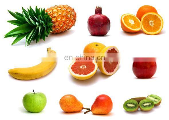 Apple wine pineapple etc fruit industrial juice making machine