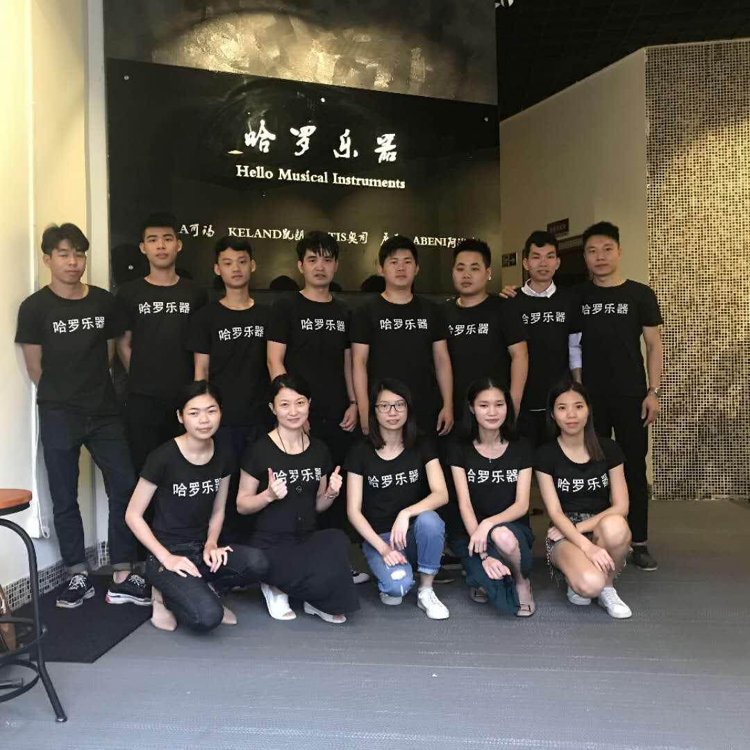 Guangzhou Haro Musical Instruments Co., Ltd. company overview - view 1