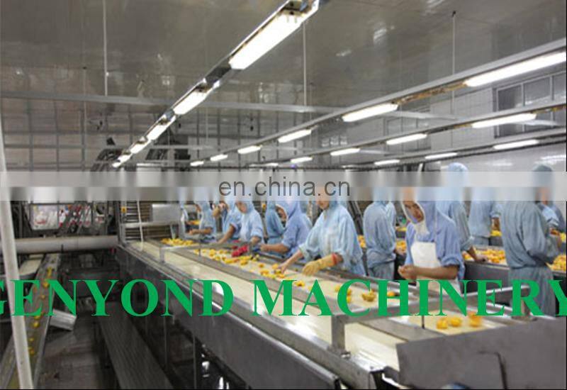 Small scale canned mandarin orange processing plant