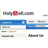 holysell Electronics Technology International Trade Co., Ltd