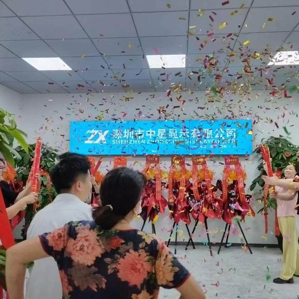 Shenzhen Zhongxing Display Co., Ltd company overview - view 1