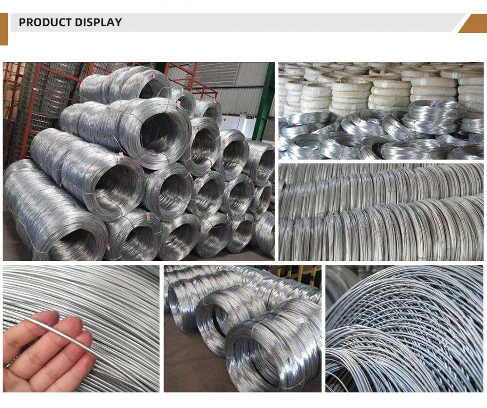 Galvanized Wire (4)