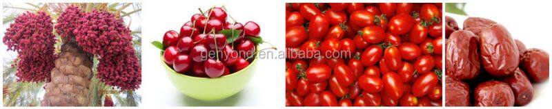 Jujube Sorting Machine Date Grading Machine