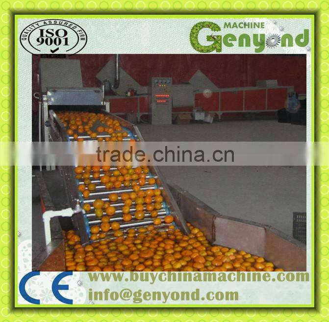 Potato Cassava Carrot Washing Peeling Machine