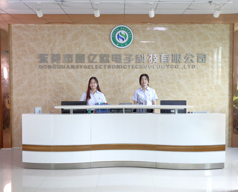 Dongguan Saiyiou Electronic Technology Co., LTD company overview - view 1