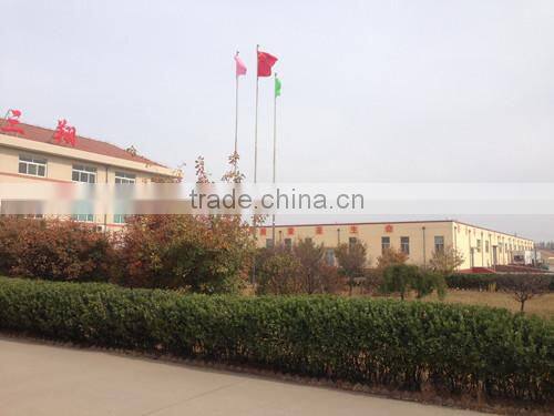 Weifang Sansho Food Co., Ltd. company overview - view 3