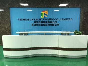 Thornsun Lighting (HongKong) Co., Ltd. company overview - view 1