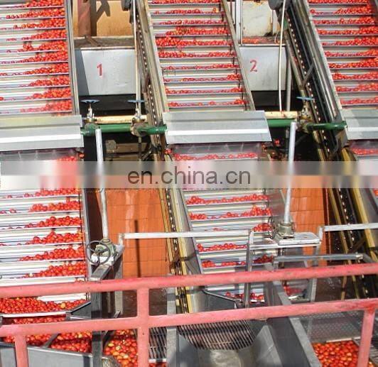 Factory Full automatic tin can chill pepper sauce making plant tomato ketchup production line paste processing machine