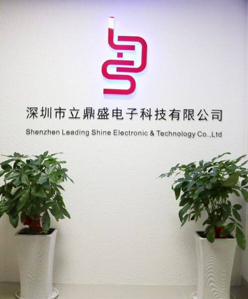 Shenzhen Leading Shine Electronic company overview - view 1