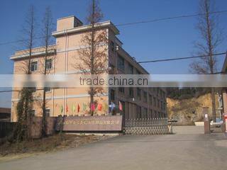 Linan Jiameihui Cleaning Co., Ltd. company overview - view 1