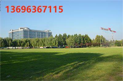 Shandong Qingneng Steam Turbine CO.,Ltd. company overview - view 1