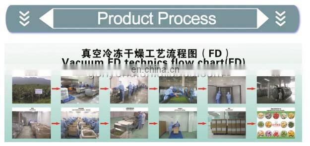 Popular Vacuum Freeze Dryer for milk powder