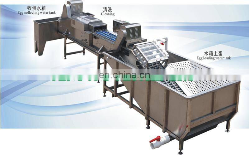 Brand new automatic egg sorting machine