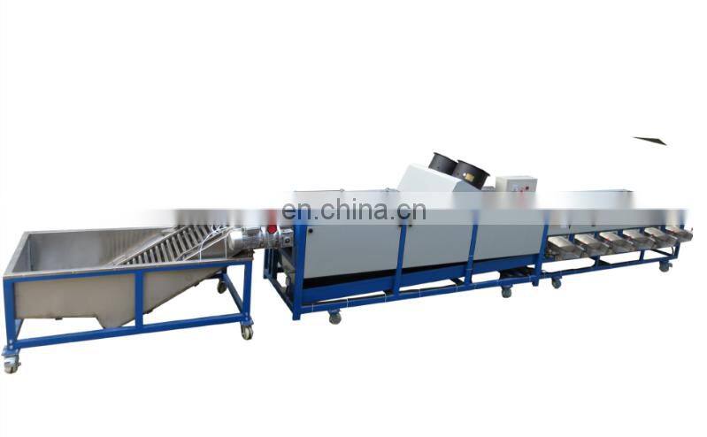 Full-automatic jujube and dates fruit juice/syrup processing line apple sorter vegetable sorting grading machine for / potato