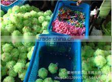 Quzhou Sunshine Commodity Factory company overview - view 2